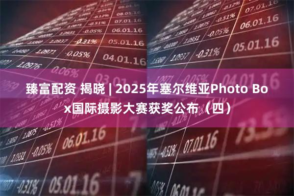 臻富配资 揭晓 | 2025年塞尔维亚Photo Box国际摄影大赛获奖公布(四)