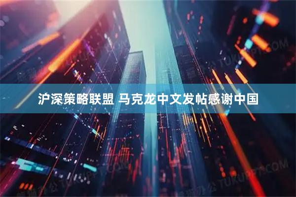 沪深策略联盟 马克龙中文发帖感谢中国