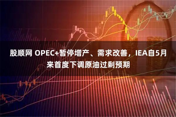 股顺网 OPEC+暂停增产、需求改善，IEA自5月来首度下调原油过剩预期